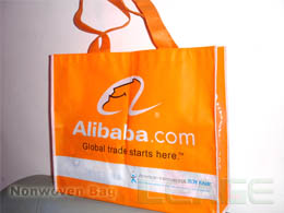 Nonwoven bag
