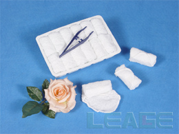 airline towel